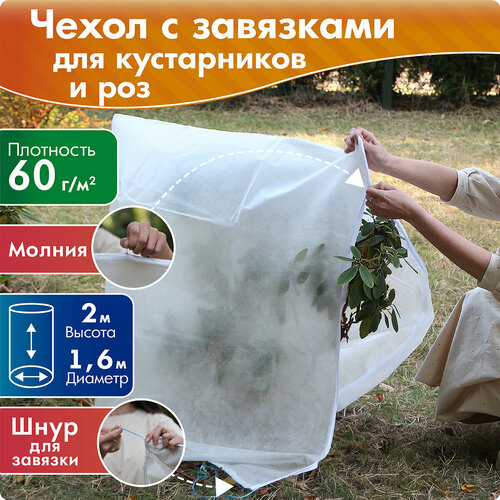 ���� ����� ��� ����������� � ��� ������ 2 �, ������� 1,6 �, �����, ������ �� 598 ���