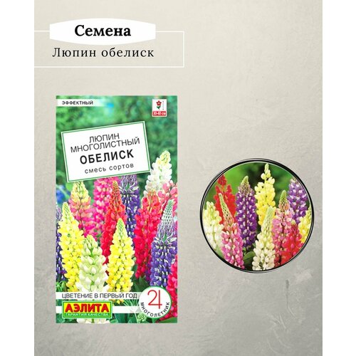 ���� ������ ������/ ����������� ����� / �����, ������ �� 220 ���