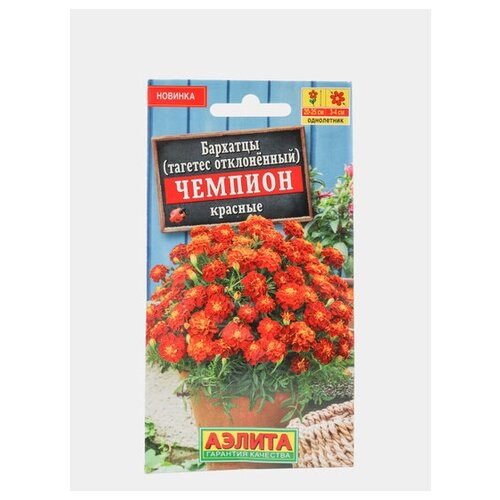 ���� ������ �������� 