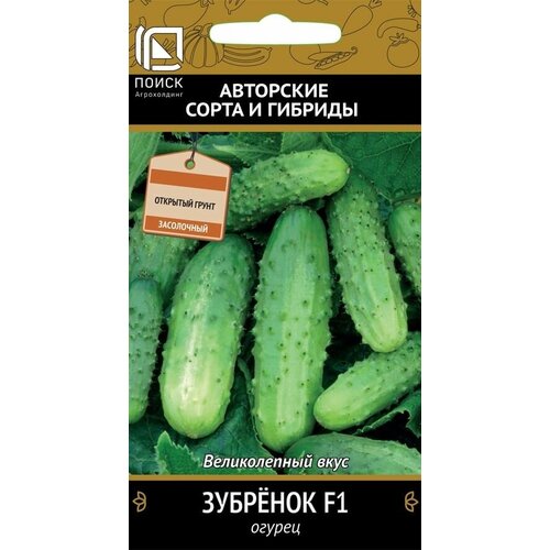 ���� ������ ������ ����� ������ �������� F1 12 ��., ������ �� 47 ���