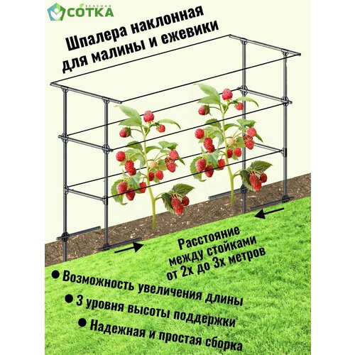 ���� ������� ��������� ��� ������, ������� � ���������, ������ �� 6000 ���