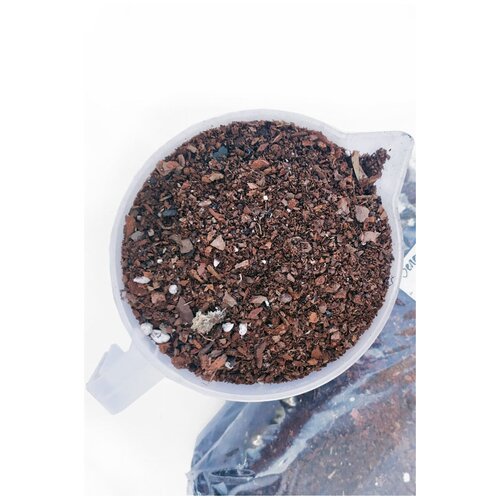 ���� ����� ��� �������� 2�����/ 2 ������ � ���������, ������ �� 340 ���