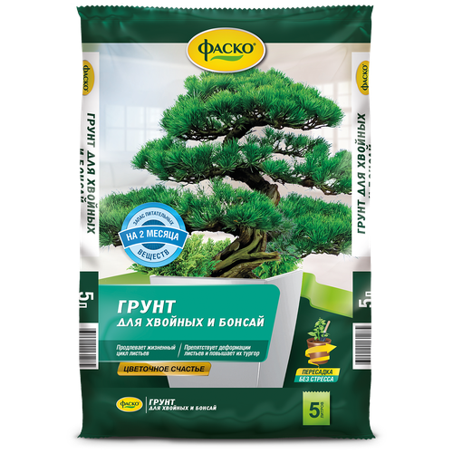 ���� ����� ����� ��������� ������� ��� ������� � ������, 5 �, 2.38 ��, ������ �� 535 ���