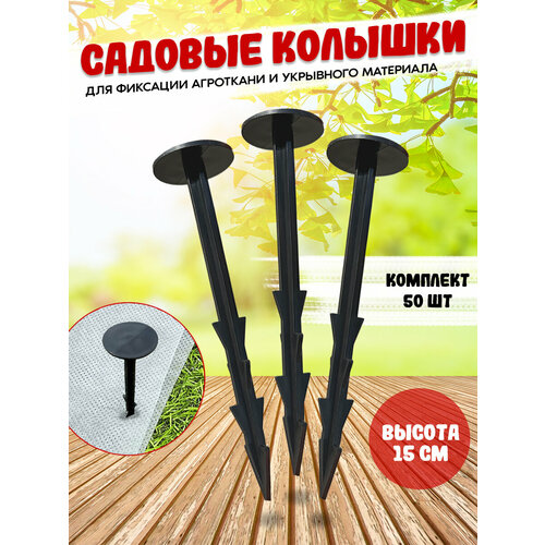 ���� ������� ������� ��� ��������� 50 ��, ������ �� 528 ���