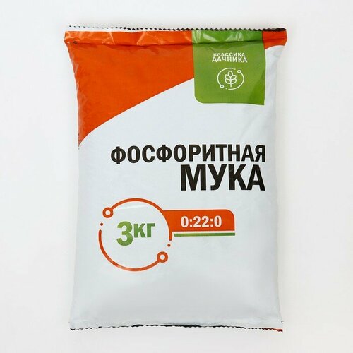 ���� ��������� ����������� 