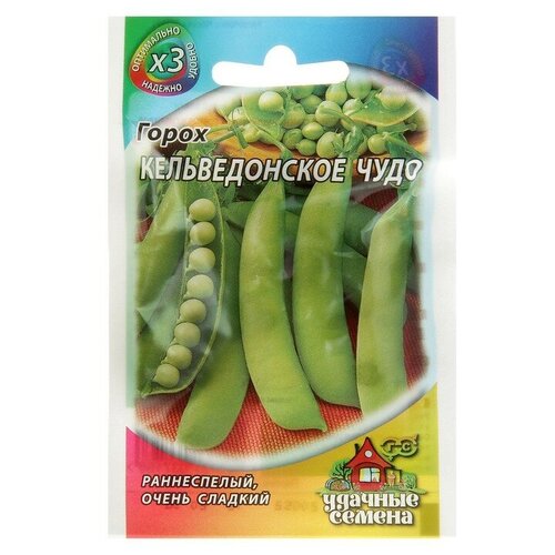 ���� ������ ����� 