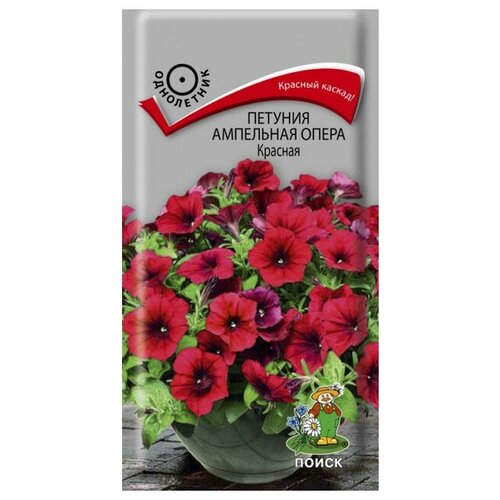 ���� ������ ����� ������� ��������� ����� ������� 5 ��., ������ �� 246 ���