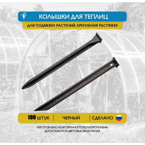 ���� 100 ��. ������� ��� ������ � ��������, ��� �������� ��������, ��������� � ����� �������� � ����� �����������, ������ �� 1750 ���