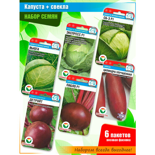 ���� ����� ����� ������� � ����� ������ �� ���������� ���� (6 �����), ������ �� 376 ���