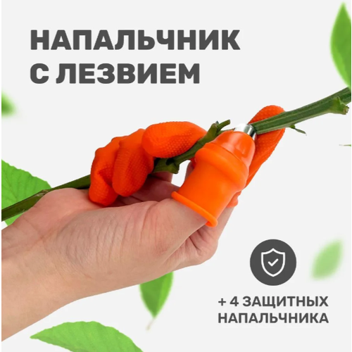 ���� ������� ��� �� �����, ���������� � ������� + 4 �������� �����������, ��� ����� ������, ������ �� 500 ���