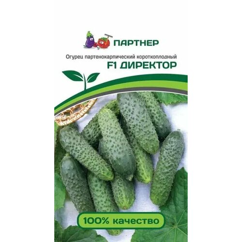 ���� ������ �������� F1 (5��) �������, ������ �� 179 ���