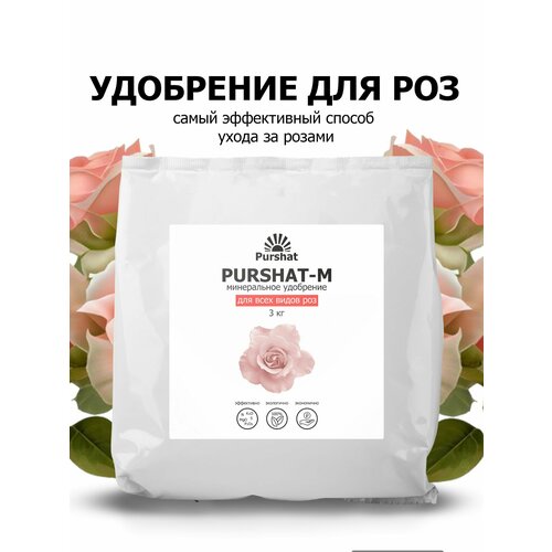 ���� ��������� ������ ��� ��� � ������ 3 ��, ������ �� 1028 ���