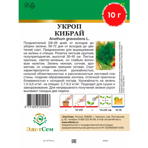     BIG  XXXL 10  (),   65 