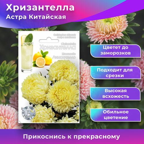 ���� ������ ����������� 