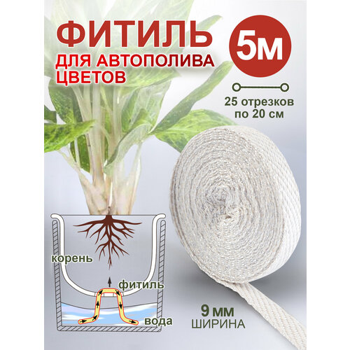 ���� ������ ��� ������ ������ 5 �, ������ �� 394 ���