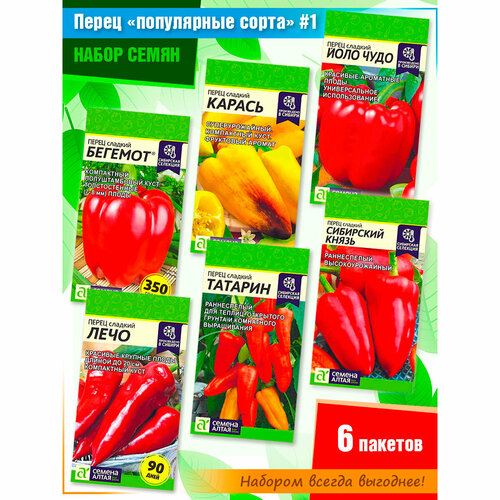     : , ,  , , ,      (6 ),   401 