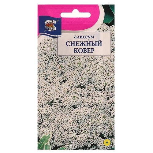 ���� ������ ������ ����� ������� ������� �����, 0,1 ��, ������ �� 80 ���