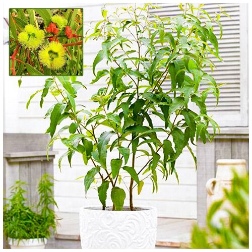 ���� �������� �������� ��������� �����, ������, 10 ��, ������ �� 383 ���