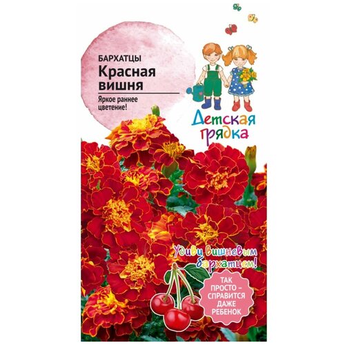     10   /      /    ,   293 