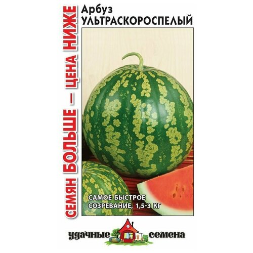 ���� ������. ����� 