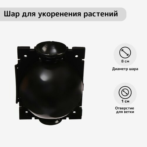  Greengo    , d = 8 ,   1 ,  , Greengo,   398 