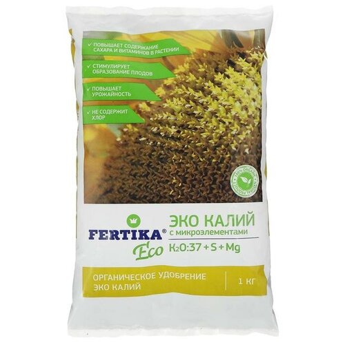 ���� ��������� �������, ��� �����, 1 ��, ������ �� 500 ���