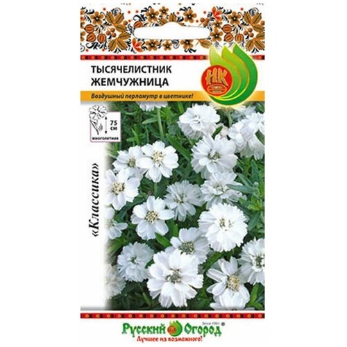 ���� ������. �����. ������������� 