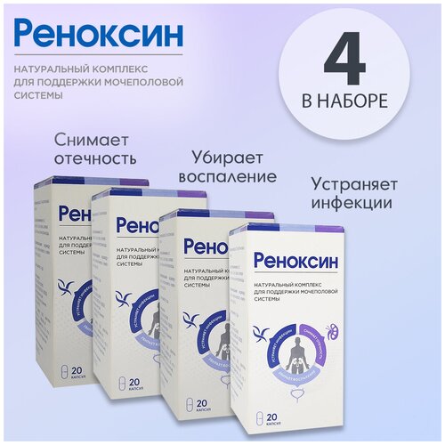 ���� �������� ��� ����������� ������� ��������, ������ �� 1240 ���