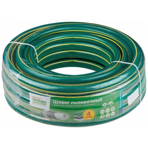 ���� ����� ���������� 1/2