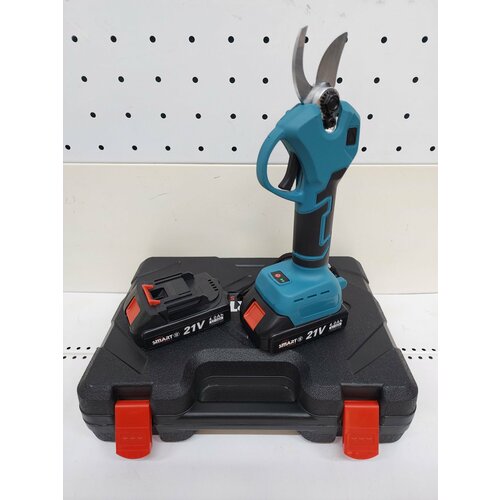 ���� �������������� �������-�������� Smart, 21 �, 2 �*�, 2 ������������, ����, ������ �� 4800 ���