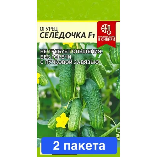 ���� ������ ������ ������ ����� 