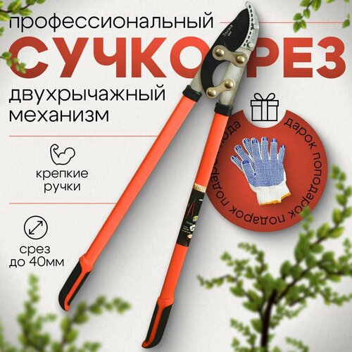 ���� �������� ��������� ���������������� � ������������ ������, ���� �� 40 ��, ������������������ ����� SK5, ������ �� 1664 ���