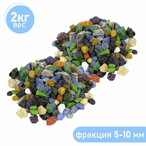 ���� ����������� ����� ��� ��������, ����������� � ��������, Zoo One, ��������� ��������, 