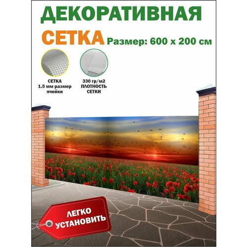  ,    , , 600   200 ,   ,   5574 