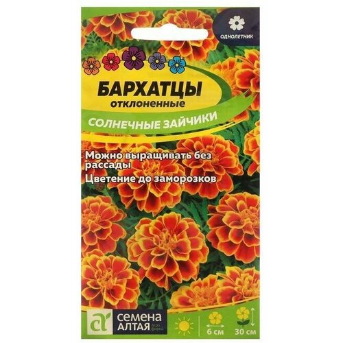 ���� ������ ������ �������� 