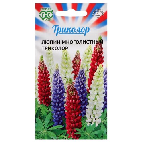 ���� ������ ������ ����� �������� 0,6 �, ������ �� 56 ���