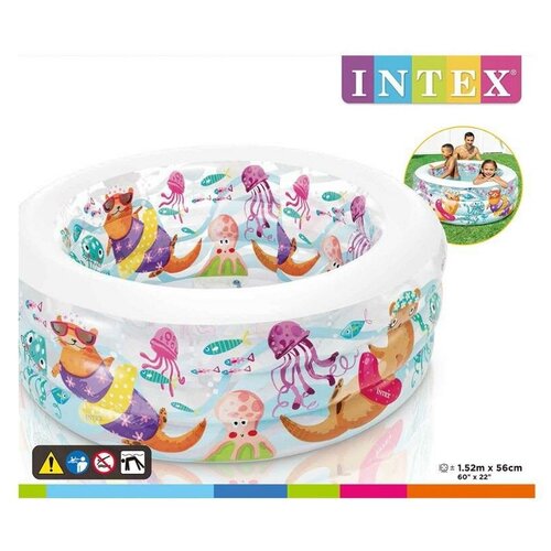     INTEX &quotLittle Otter Pool" (),  6 , 15256  int58480NP   -     , -, 