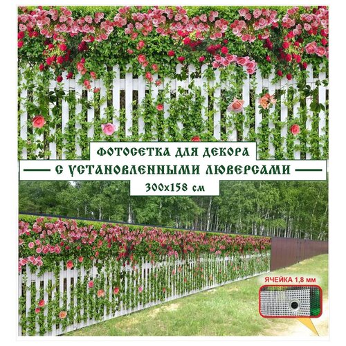 ���� ��������� ����� ��� ������ 300x158 ��, 