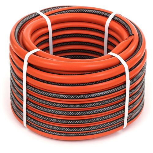 ���� ����� ��� �������, 3/4