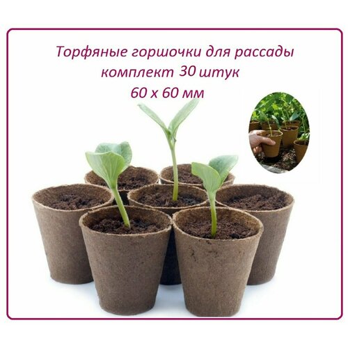 ���� �������� �������� ��� �������, 30 ����, d 60 � h 60 ��, ����� ����������� ��� ������� ����� ������, ������ � ��������, ������ �� 159 ���