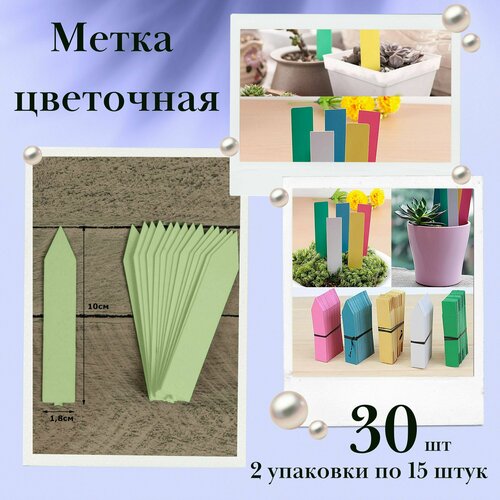 ���� �������� 