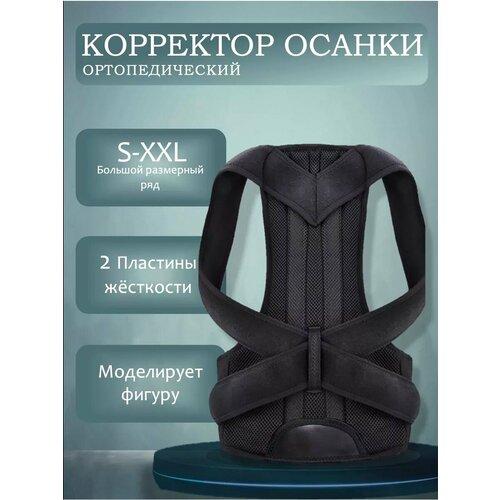 ���� ��������� ������ �������������� �������, ������ �� 1190 ���