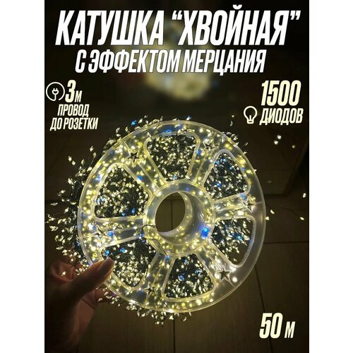 ���� ������� 