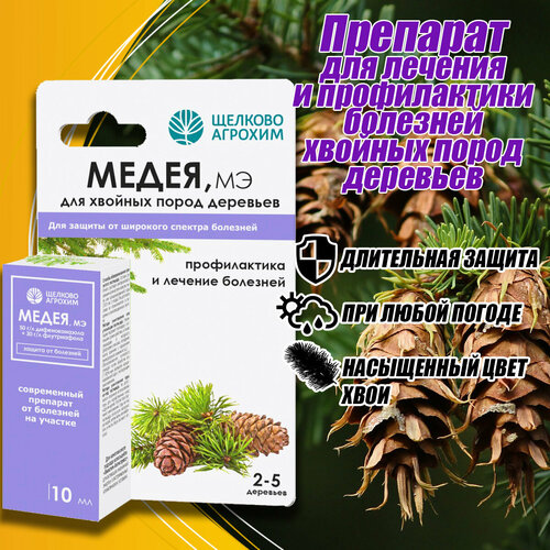 ���� �������� �� �������� �������� ����� �� �������-������� (10�� ����), ������ �� 265 ���