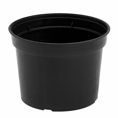 ���� ������� ������ 64393, 22.3 ��, 5 �, 1 ��., ������, ������ �� 194 ���