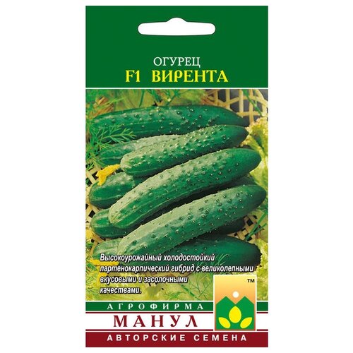 ���� ������ ����� 