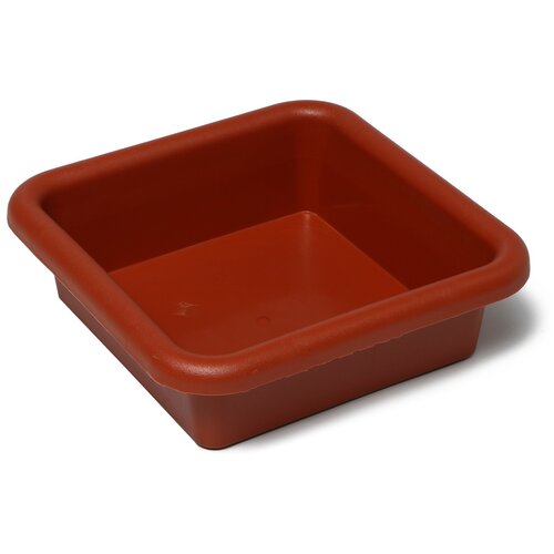 ���� ����-����� ���� ��� ������� 2846178, 3 �, ����, ������ �� 227 ���