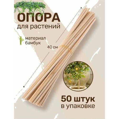      ,   ,   40  50 ,    4 ,   350 