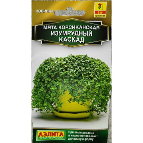 ���� ���� ������������ ���� ����, ������ �� 256 ���