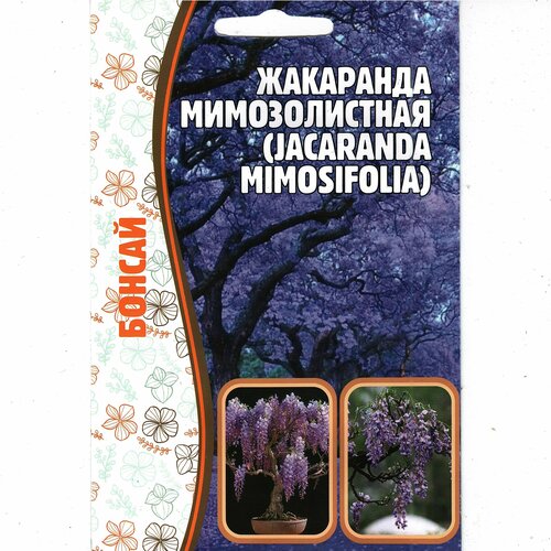  ,   / Jacaranda mimosifolia,   ( 1 : 5  ),   187 